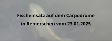 Fischeinsatz auf dem Carpodrôme in Remerschen vom 23.01.2025