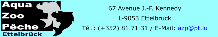 67 Avenue J.-F. Kennedy  L-9053 Ettelbruck Tél.: (+352) 81 71 31 / E-Mail: azp@pt.lu  Ettelbrück