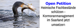 Open Petition Heimische Fischbestände schützen -  Kormoranmanagement im Saarland jetzt umsetzen
