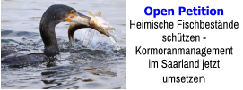 Open Petition Heimische Fischbestände schützen -  Kormoranmanagement im Saarland jetzt umsetzen