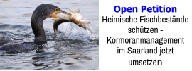 Open Petition Heimische Fischbestände schützen -  Kormoranmanagement im Saarland jetzt umsetzen